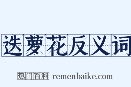 迭萝花反义词是什么意思的图片